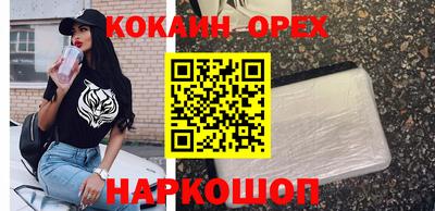 молекула духа Пугачёв