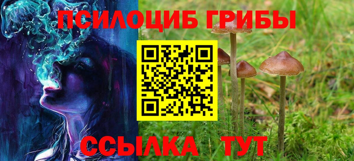 Ртищево  Галлюциногенные грибы Psilocybe  Галлюциногенные грибы GOLDEN TEACHER  Вход с VPN 
