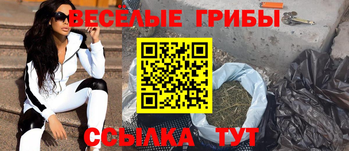 Галлюциногенные грибы Psilocybe Ртищево